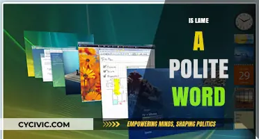 Is 'Lame' a Polite Word? Exploring Its Usage and Social Implications