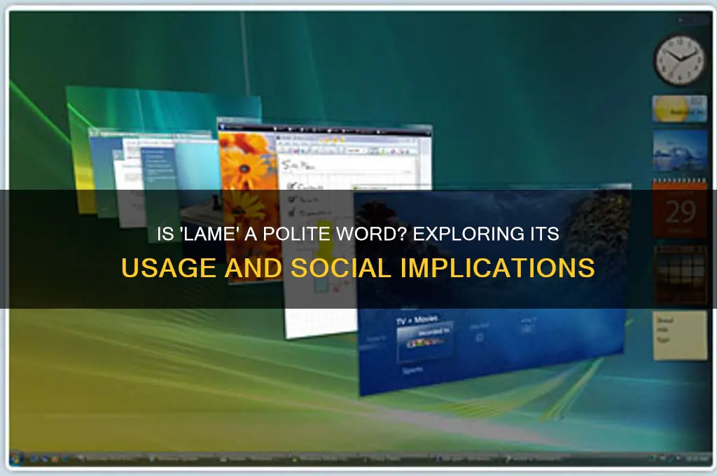 is lame a polite word