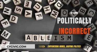 Is 'Lame' Politically Incorrect? Exploring Language Sensitivity and Inclusivity