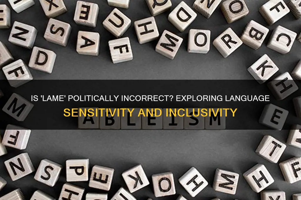 is lame politically incorrect