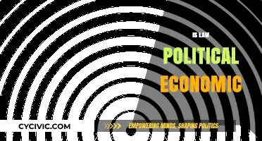 Is Law a Political Economic Tool? Exploring the Intersection