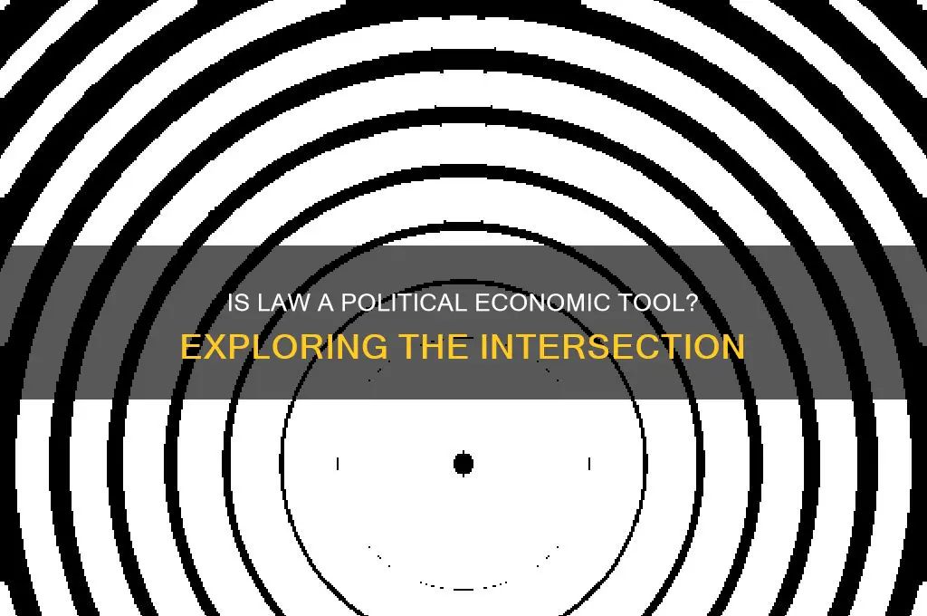 is law political economic