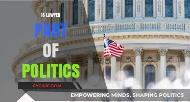 Lawyers in Politics: Exploring Their Role and Influence in Governance