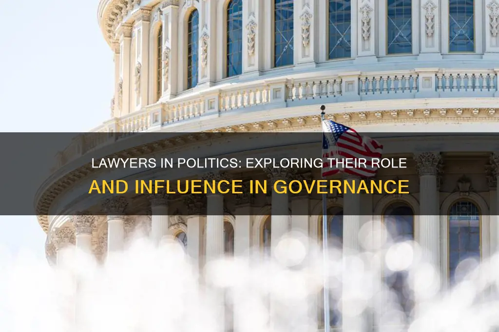 is lawyer part of politics