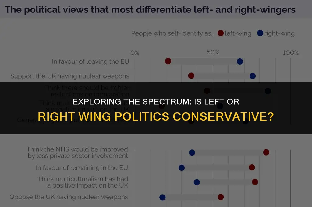 is left or right wing politics conservative