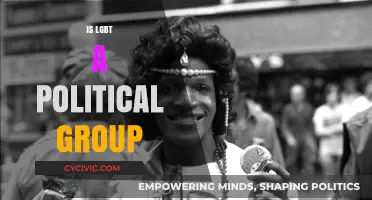 Is LGBT a Political Group? Debunking Myths and Understanding Realities