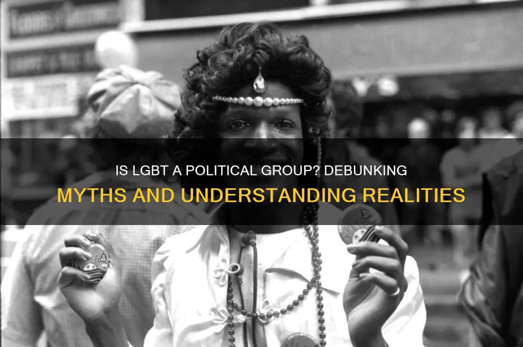 is lgbt a political group