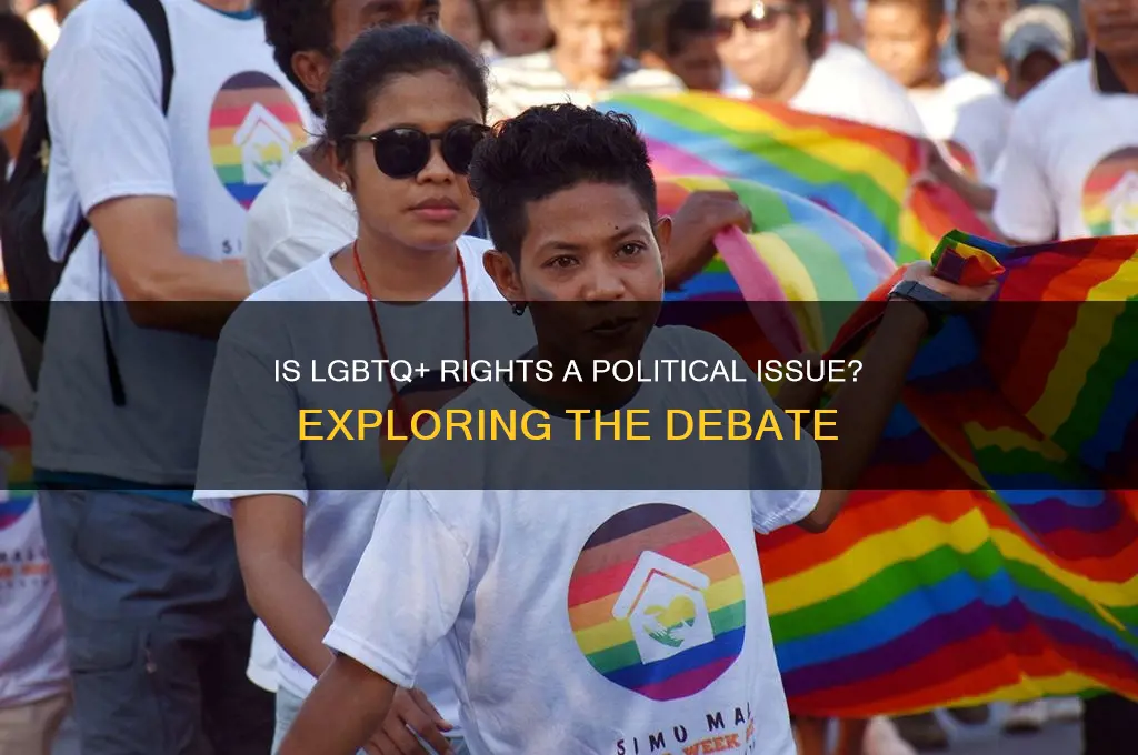 is lgbtq a political issue