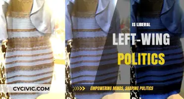 Understanding Liberal Left-Wing Politics: Ideologies, Policies, and Societal Impact