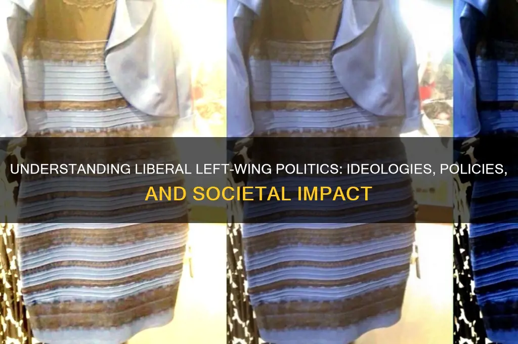 is liberal left-wing politics