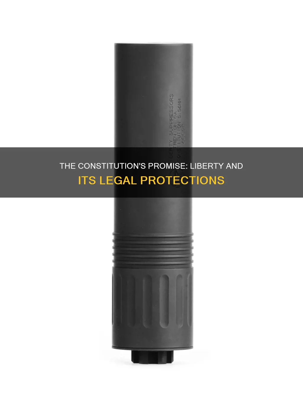 is liberty protected by the constitution
