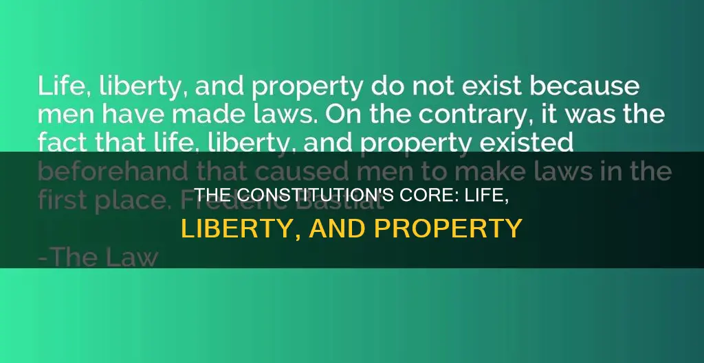 is life liberty and property in the constitution