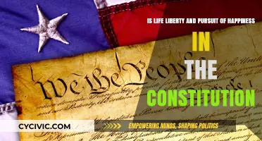 The Constitution's Promise: Life, Liberty, and Happiness