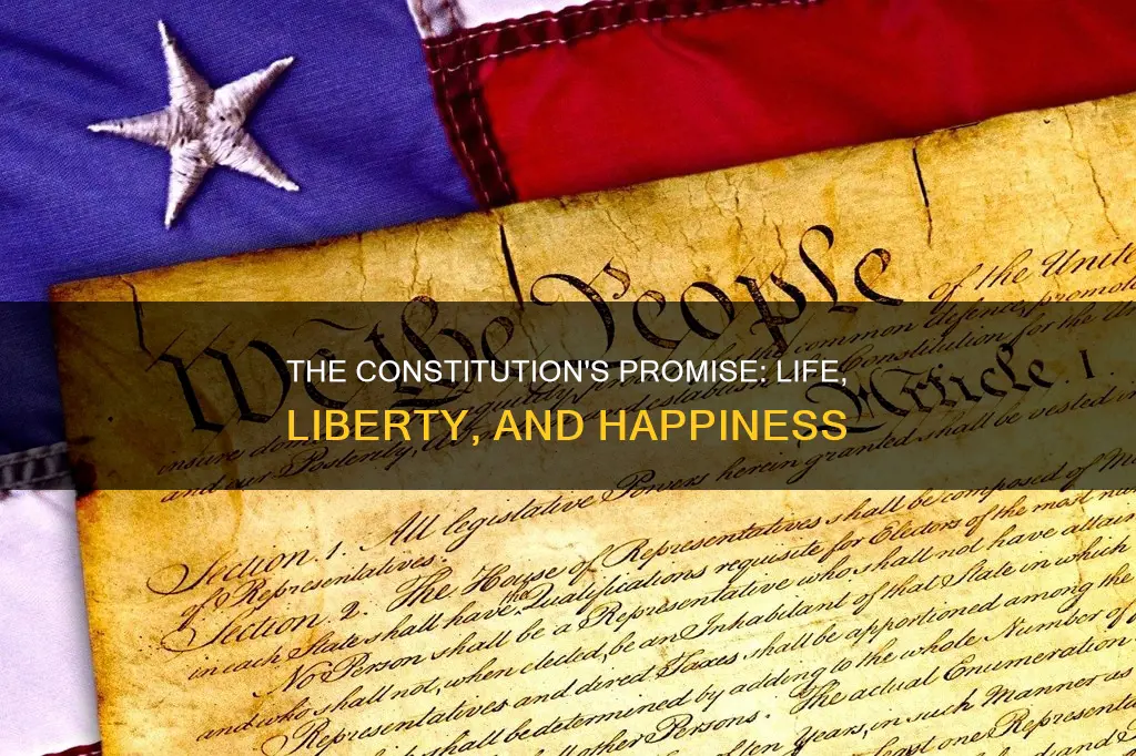 is life liberty and pursuit of happiness in the constitution