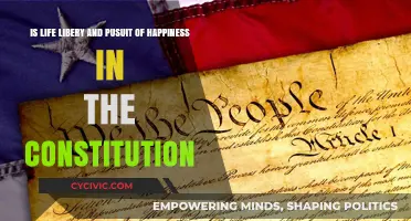 The Pursuit of Happiness: Understanding Constitutional Rights