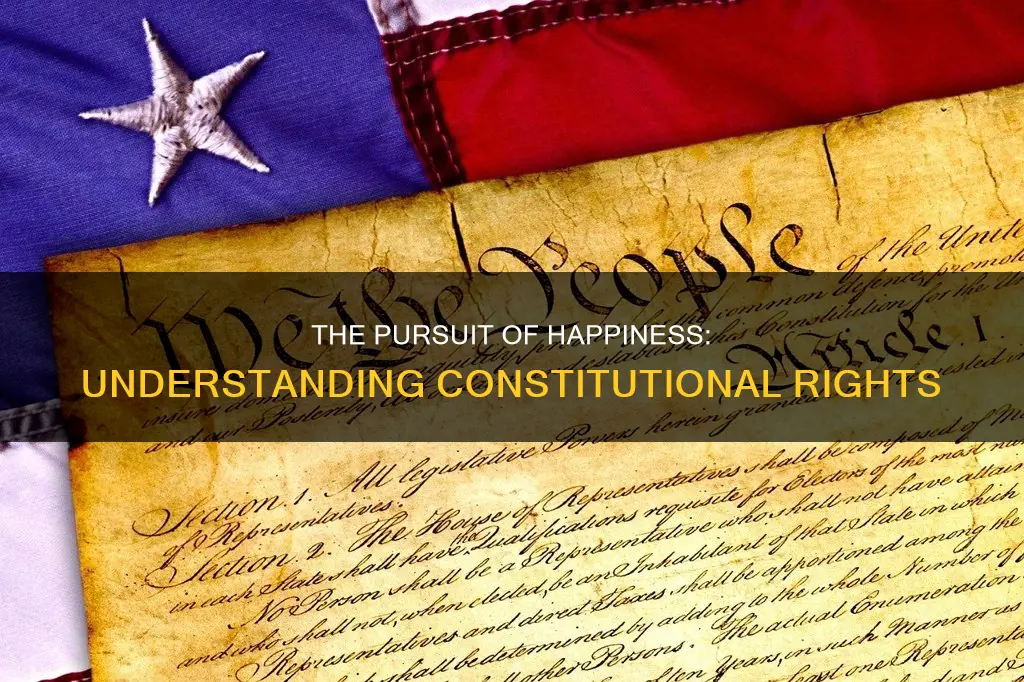 is life libery and pusuit of happiness in the constitution