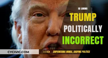 Is Supporting Trump Politically Incorrect? Exploring the Social Divide