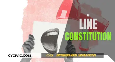 Line App: Free Speech and Legal Boundaries