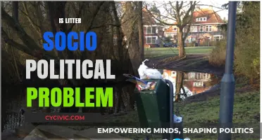 Litter: A Socio-Political Crisis Reflecting Community Values and Governance