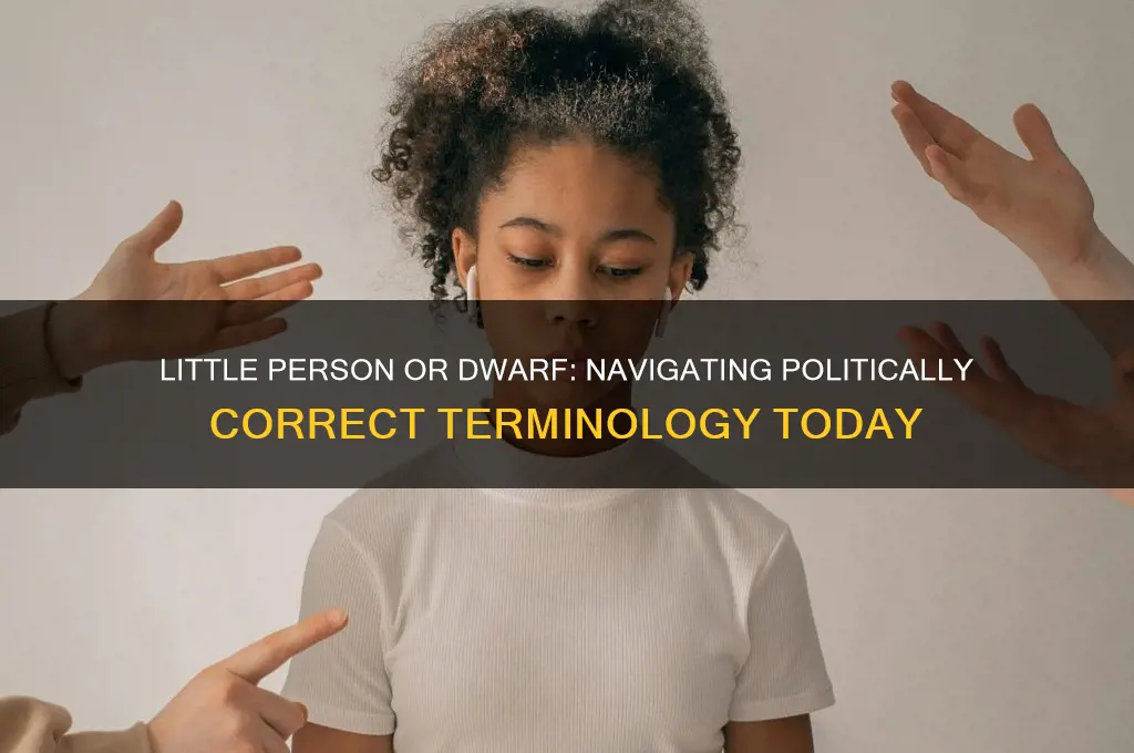 is little person politically crrect