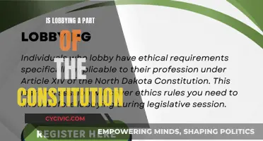 The Founding Fathers' Lobbying Legacy: Constitutional?