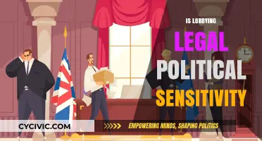 Lobbying's Legal Landscape: Navigating Political Sensitivity and Ethical Boundaries