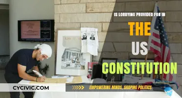 The US Constitution and Lobbying: What's the Link?