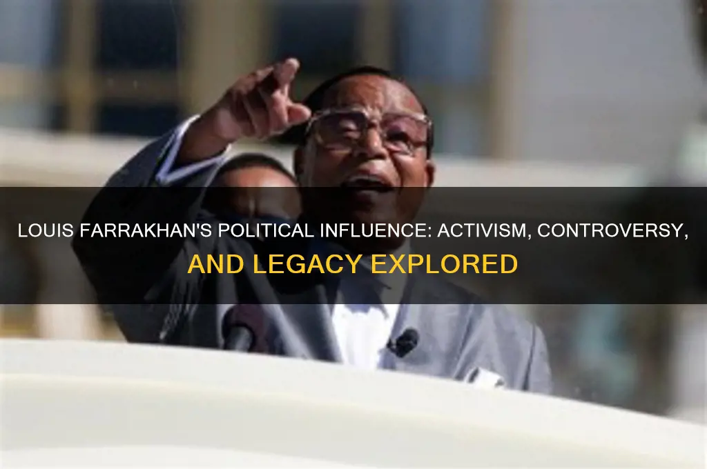 is louis farrakhan in politics