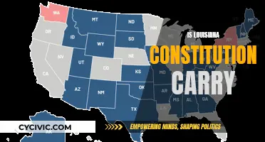 Louisiana's Constitutional Carry: What You Need to Know