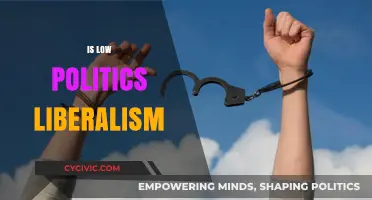 Is Low Politics the New Face of Liberalism?