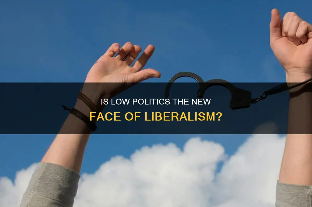 is low politics liberalism