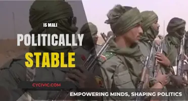 Is Mali Politically Stable? Analyzing Current Governance and Challenges