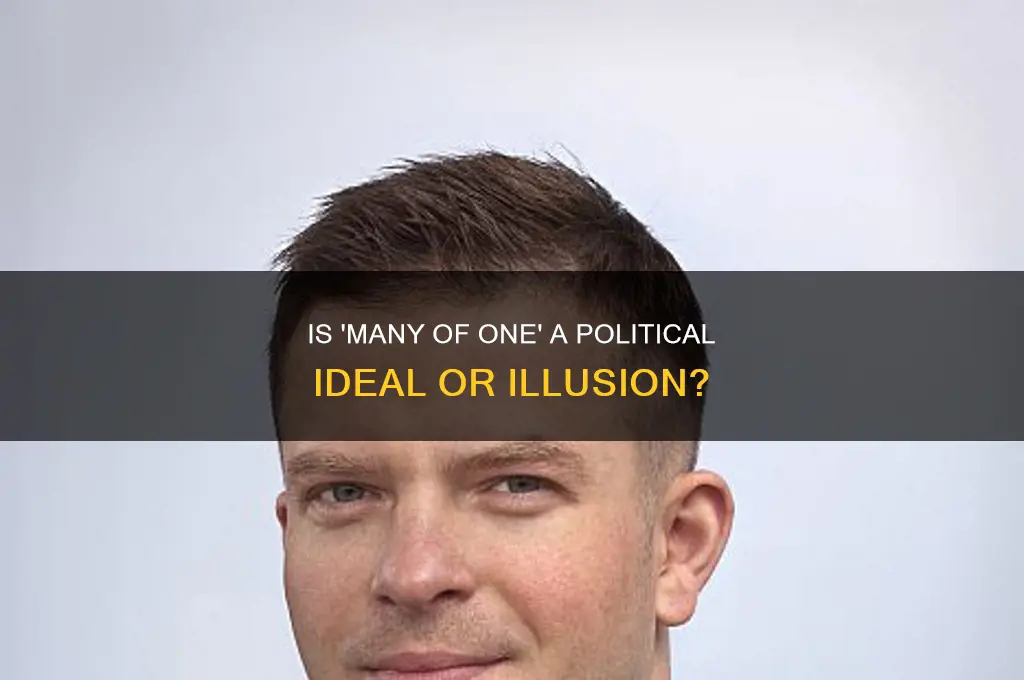is many of one political