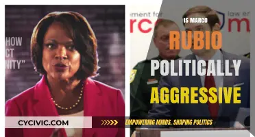 Is Marco Rubio's Political Style Aggressive or Strategically Assertive?