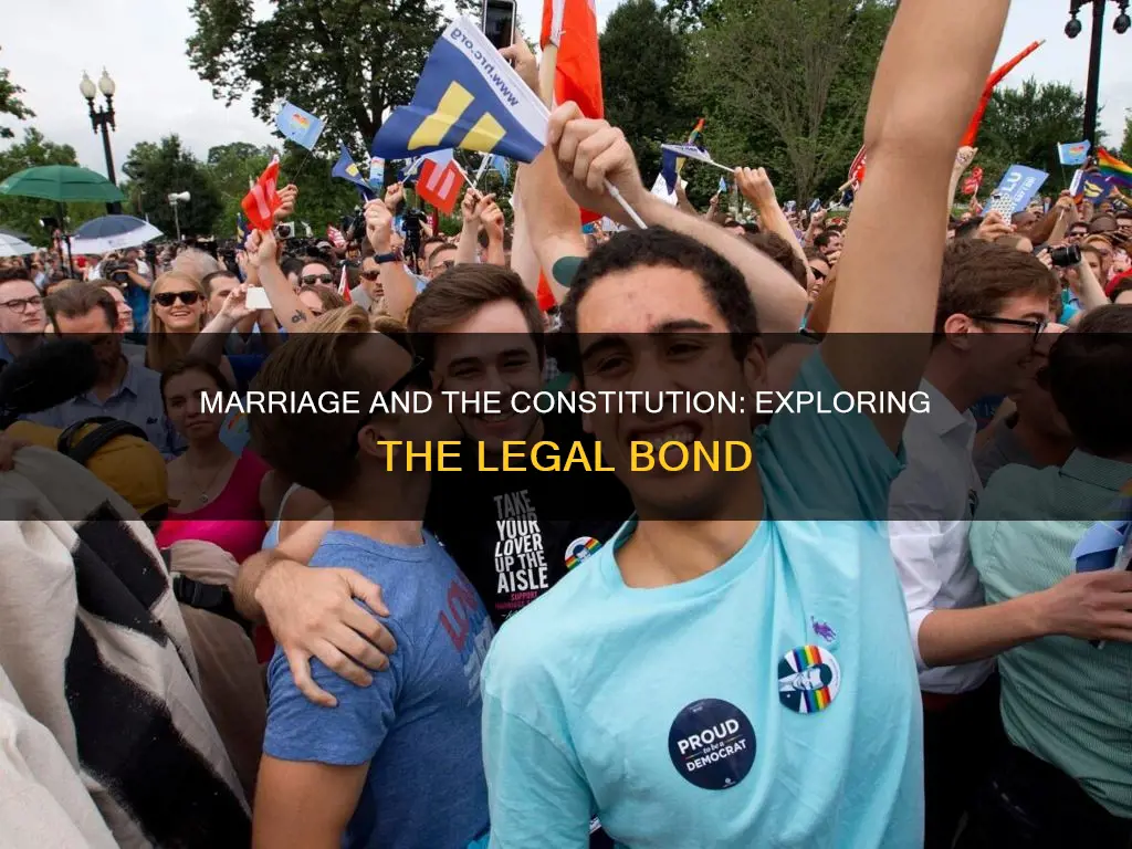 is marriage part of the constitution