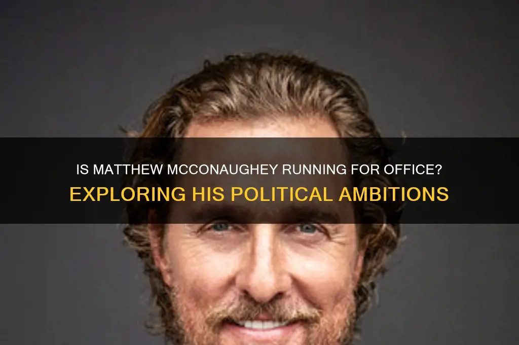 is matthew mcconaughey in politics