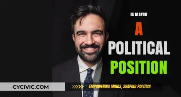 Is Being a Mayor a Political Role? Exploring the Position's Nature