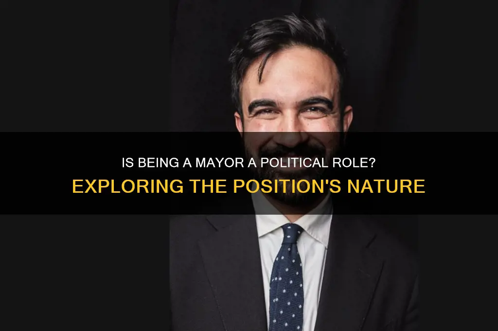 is mayor a political position