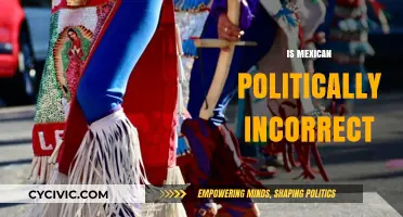Is 'Mexican' Politically Incorrect? Exploring Language and Cultural Sensitivity