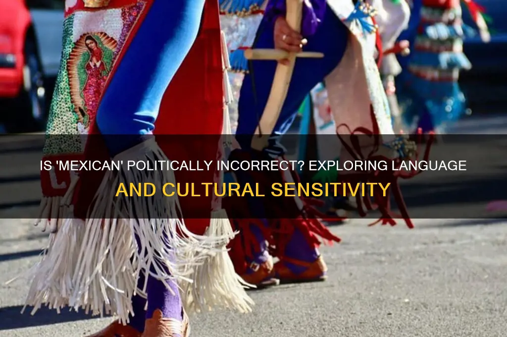 is mexican politically incorrect