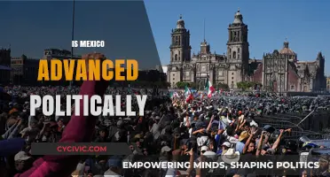 Mexico's Political Landscape: Assessing Progress, Challenges, and Global Standing