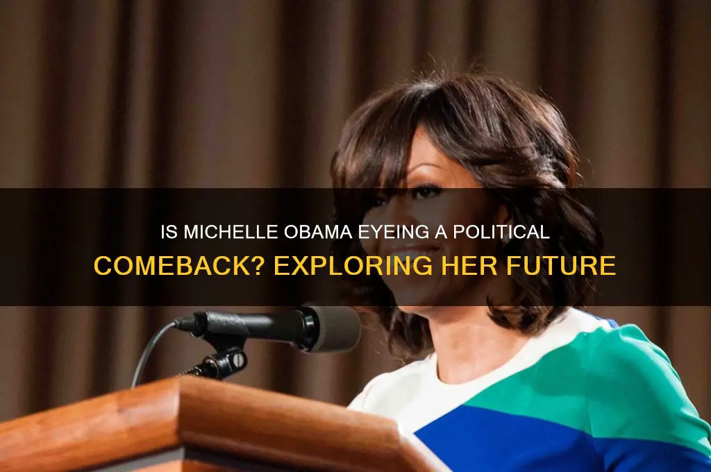 is michelle obama in politics