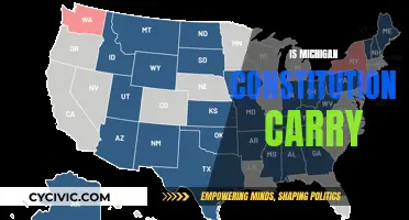 Michigan's Constitutional Carry: What Does It Mean?