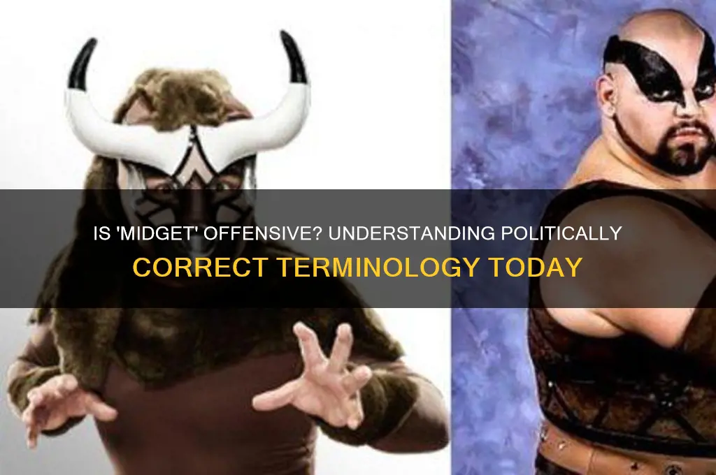 is midget politically incorrect