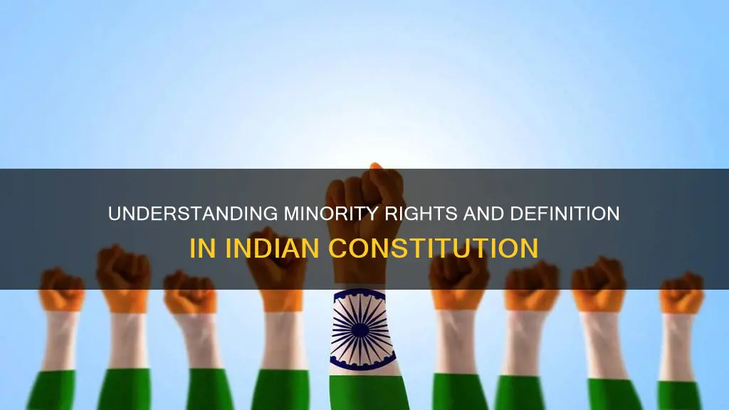 is minority defined in indian constitution