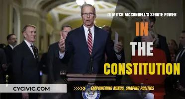 McConnell's Power: Where's the Line?