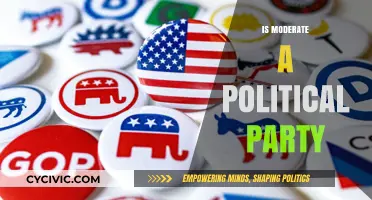 Is Moderate a Political Party? Unraveling the Centrist Movement's Identity