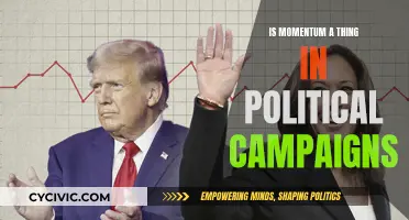 Momentum in Political Campaigns: Does it Exist?
