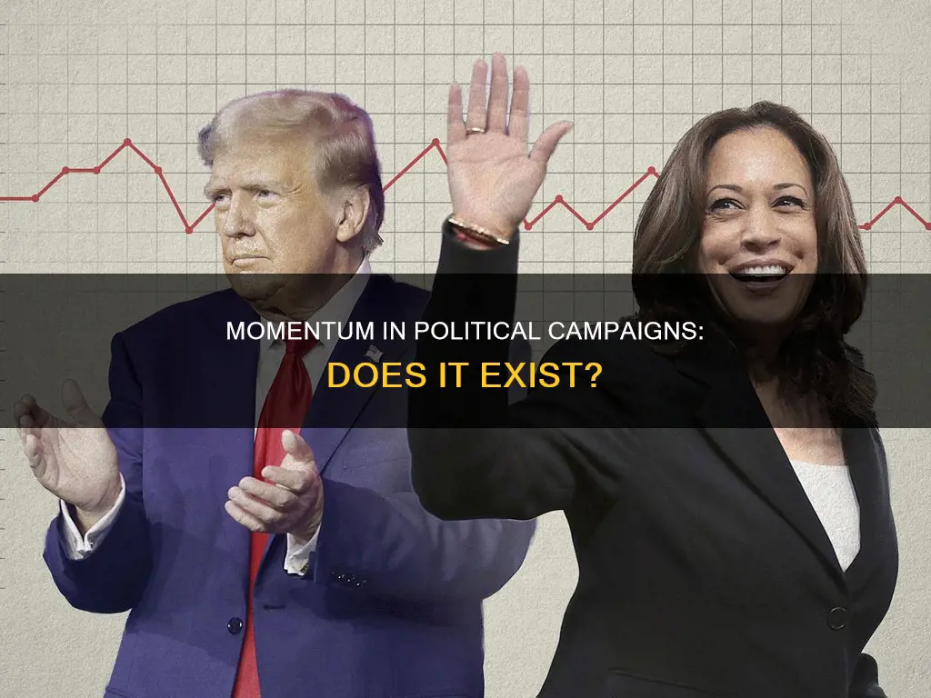 is momentum a thing in political campaigns
