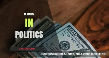 Money in Politics: Corruption, Influence, and Democracy at Stake